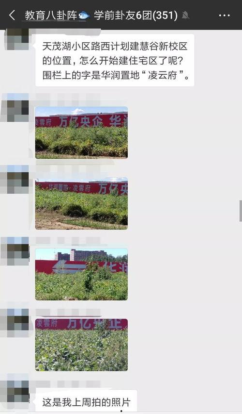 吉大学校最新爆料消息,揭秘校园风云背后的真相